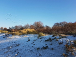 Plage en hiver